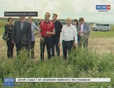 Несмотря на дожди, хозяйства Комсомольского района активно заготавливают корма