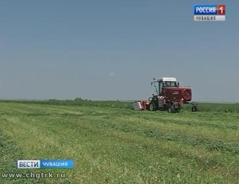 Этим летом в Чувашии сложная ситуация с заготовкой кормов 