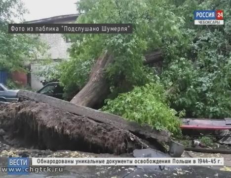 В районах Чувашии устраняют последствия грозы и шквалистого ветра 