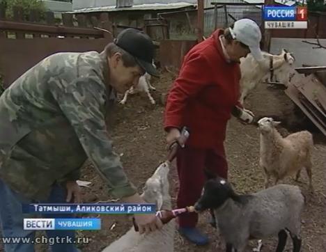 Фермер из Аликовского района мастерит из металлолома полезные предметы