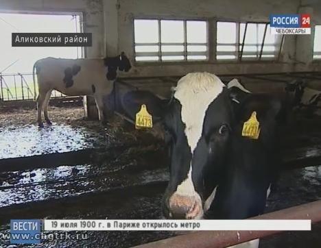 Из отстающих в передовые: колхоз «Новый путь» – в десятке лучших хозяйств республики