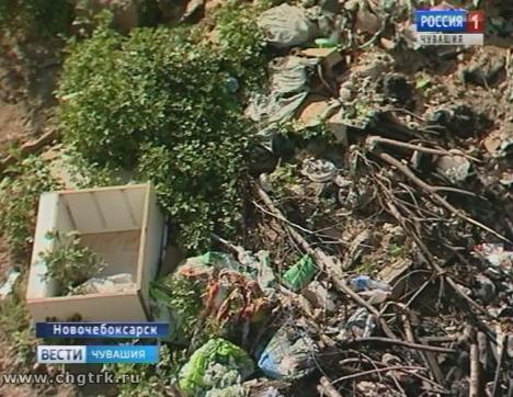 Активисты ОНФ пытаются разобраться со стихийной свалкой около Новочебоксарска
