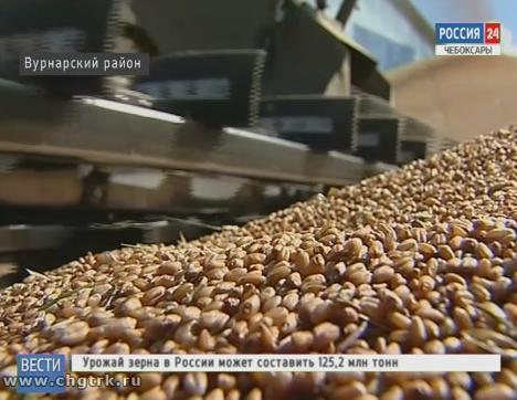 Средняя урожайность зерновых по республике выше, чем в прошлом году