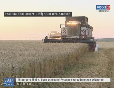 От зари до зари: чувашские аграрии ведут битву за урожай