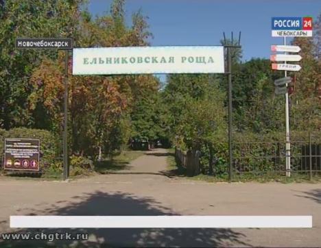Ельниковская роща в Новочебоксарске получила федеральные деньги на преображение