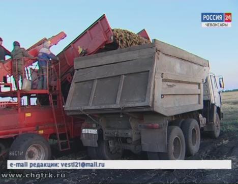В республике полным ходом идёт уборка второго хлеба