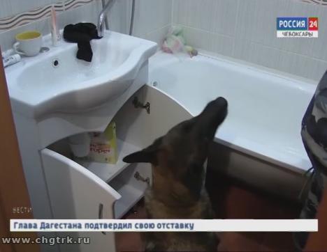 Чувашские полицейские пресекли крупный канал поставки наркотиков