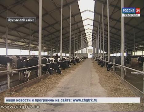 Животноводческие фермы республики готовят к зиме