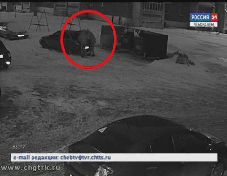 Полицейские задержали автоворов