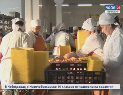 В «Чувашском бройлере» готовятся к сокращениям работников