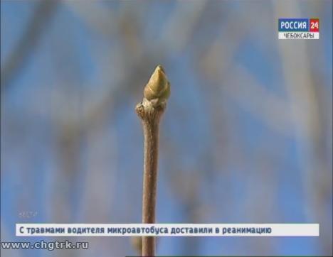 Синоптики рассказали, когда в Чувашии ждать весны