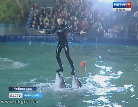 Более пятисот  юных чебоксарцев  побывали на благотворительном  представлении в передвижном дельфинарии