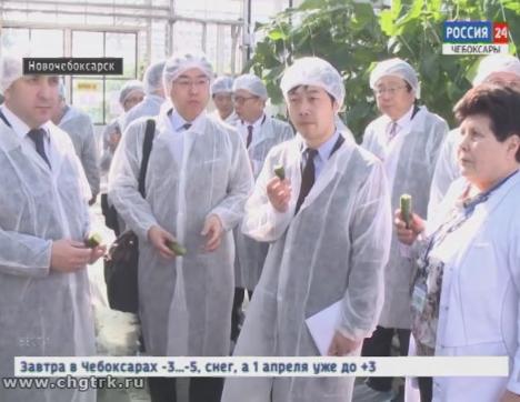 Японские гости во главе с послом Тоёхиса Кодзуки побывали  в Ольдеевской теплице