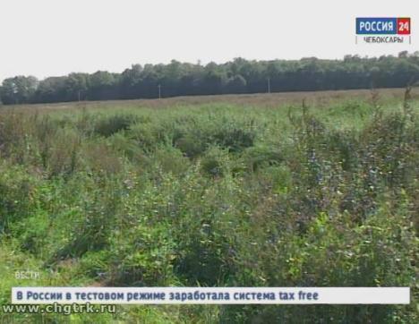 В Чувашии пытаются раз и навсегда решить проблему необрабатываемых земель