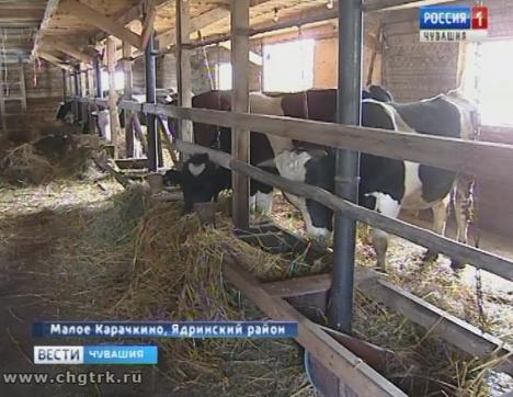 В Чувашии стартует приём документов на гранты для начинающих фермеров