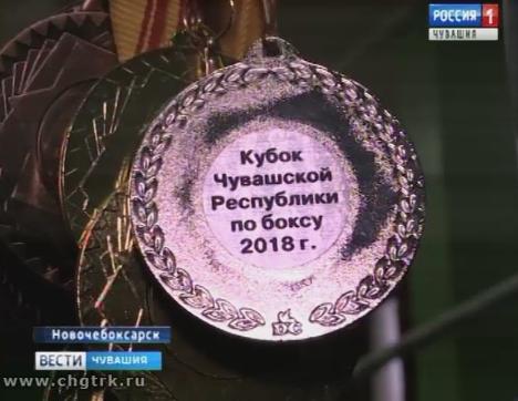 В Новочебоксарске проходит розыгрыш Кубка Чувашии по боксу