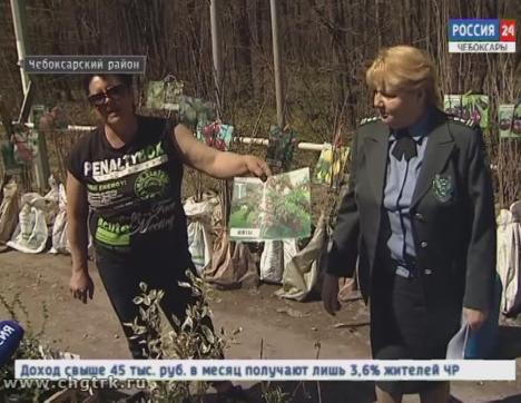 Россельхознадзор остерегает садоводов от покупки саженцев на стихийных рынках вдоль дорог 