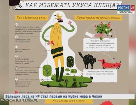 Жители Чебоксар и Новочебоксарска становятся жертвами клещей