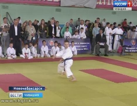 Юные воспитанники республиканской федерации всестилевого каратэ проверили свою готовность к летнему сезону