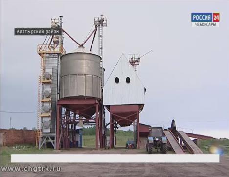 В Алатырском районе ввели в севооборот заброшенные земли