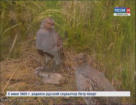 Визит-центр в заповеднике «Присурский» расскажет о флоре и фауне Чувашии