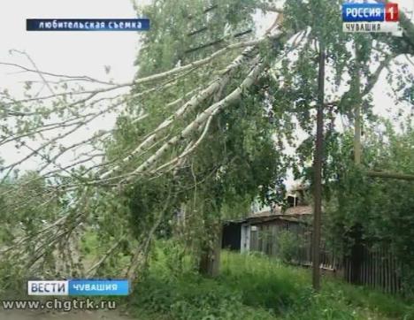 Из-за сильного ветра и грозы жители Алатырского района остались без электричества