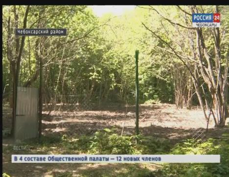 Предпринимателю из Чебоксарского района грозит штраф за использование лесных угодий не по назначению