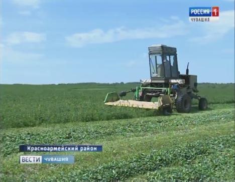  В Чувашии идет покос многолетних трав и заготовка сена