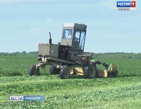 Заготовка кормов в республике идёт полным ходом