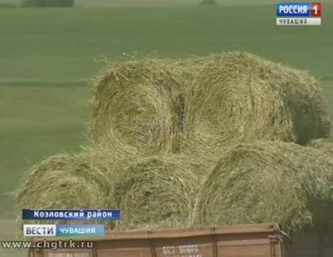 В хозяйствах Чувашии полным ходом идёт заготовка кормов