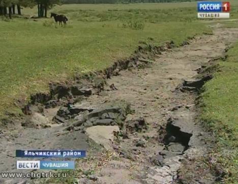 В Яльчикском районе подсчитывают убытки от  града