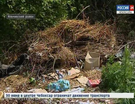 Куда попало - в Яльчикском районе жители нашли свой способ утилизации отходов