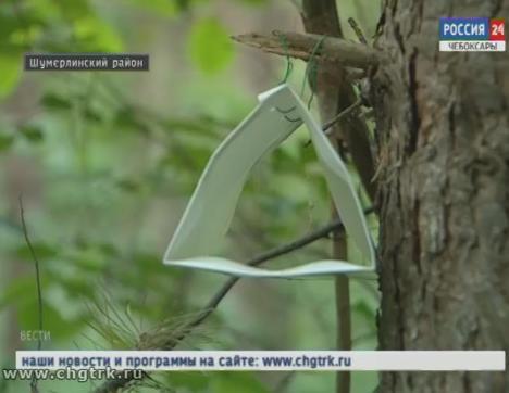 В Чувашии борются с насекомыми-вредителями