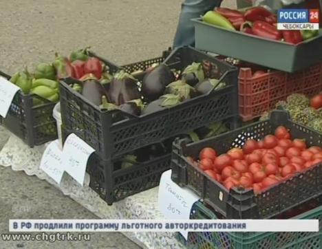 Традиционную ярмарку «Дары осени» в Чебоксарах планируют провести в новом формате