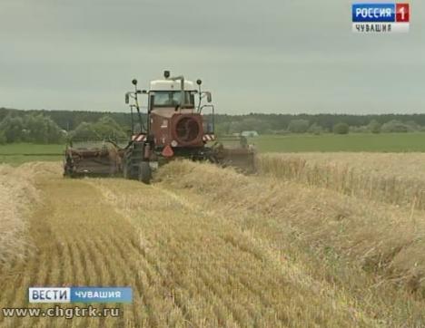 Уборочная кампания в Чувашии в самом разгаре