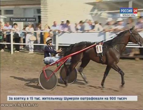 В Ядринском районе прошли Всероссийские конные бега
