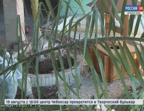 Зимний сад Дворца детского и юношеского творчества готовится к обновлению