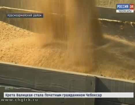 Аграрии Чувашии активно убирают зерновые, ранние овощи и технические культуры