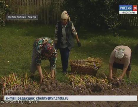 В районах Чувашии возрождают кооперацию