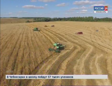 В Чувашии скошено 83 процента зерновых и зернобобовых культур