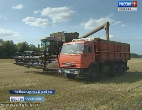 В хозяйствах Чебоксарского района параллельно с уборкой урожая  идет сев озимых культур