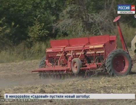 На полях Чувашии полным ходом идут уборочные работы