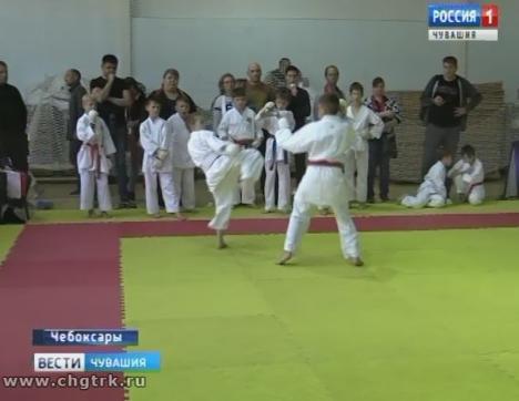 В столице Чувашии разыграли награды Кубка России по каратэ, версия WKC