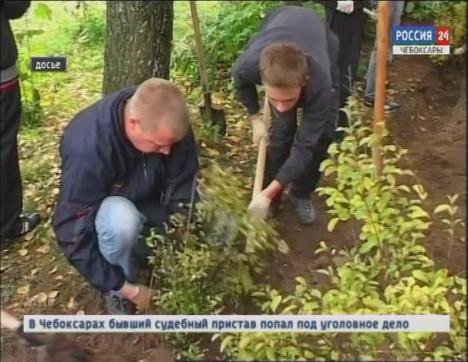 Во время экологического месячника добровольцы посадили в Чебоксарах тысячи деревьев и кустарников