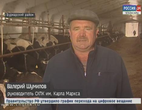 Высший пример трудолюбия:  СХПК им. Карла Маркса  производит элитные семена зерновых и выращивает буренок без привлечения кредитов