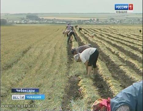 С января 2019 года сельчане будут получать повышенную пенсию