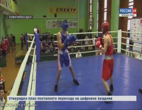 В Новочебоксарске прошло первенство республики по боксу