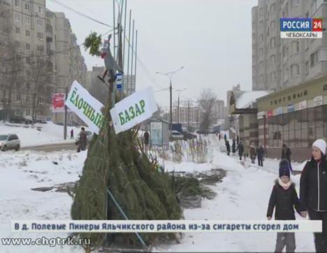 Где лучше  купить живую елку: в Чебоксарах заработали елочные базары