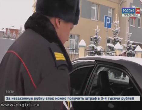 Похититель кошелька, бежавший из Московской области,  не смог скрыться на дорогах Чувашии от бдительных инспекторов  ДПС 