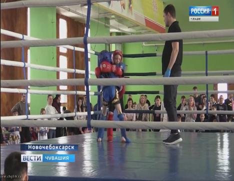 Представители федерации тайского бокса Чувашии разыграли награды чемпионата и первенства республики